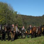 Leonhardi-Ritt in Faistenau