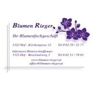 Blumen Rieger