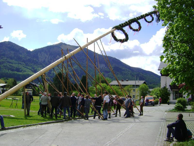 Maibaum aufstellen