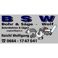 BSW Bohr + Säge - Wolf